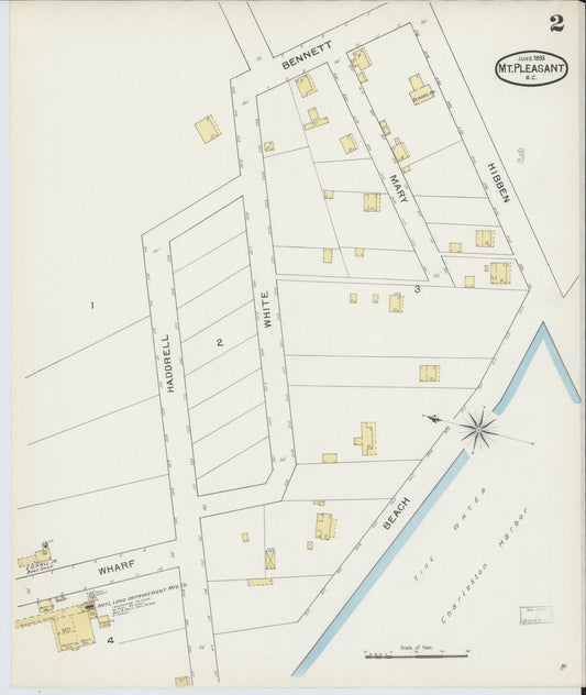 Sanborn Fire Insurance Map from Mount Pleasant, Charleston County, South Carolina (1893), Sheet #0002 - Historic Sanborn Fire Insurance Map Print, vintage old map wall art, antique decor, genealogy gift, South Carolina South Carolina map