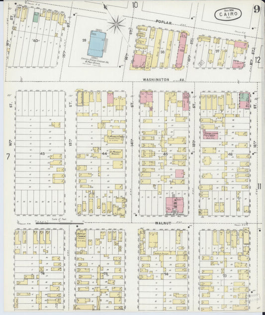Sanborn Fire Insurance Map from Cairo, Alexander County, Illinois (1896), Sheet #0009 - Historic Sanborn Fire Insurance Map Print, vintage old map wall art, antique decor, genealogy gift, Illinois Illinois map