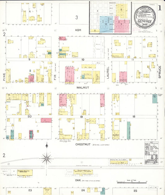 Sanborn Fire Insurance Map from Genesee, Latah County, Idaho (1896), Sheet #0001 - Historic Sanborn Fire Insurance Map Print, vintage old map wall art, antique decor, genealogy gift, Idaho Idaho map