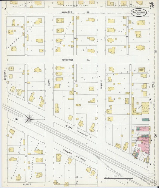 Sanborn Fire Insurance Map from Roodhouse, Greene County, Illinois (1906), Sheet #0003 - Historic Sanborn Fire Insurance Map Print, vintage old map wall art, antique decor, genealogy gift, Illinois Illinois map