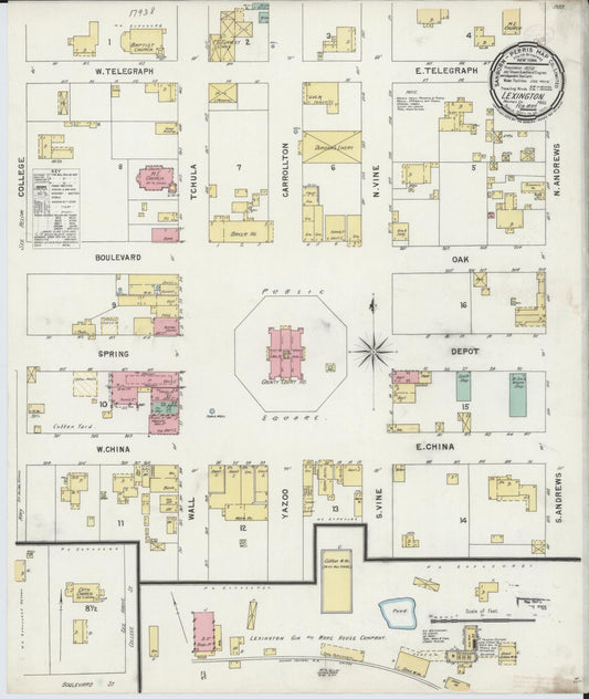 Sanborn Fire Insurance Map from Lexington, Holmes County, Mississippi (1897), Sheet #0001 - Historic Sanborn Fire Insurance Map Print, vintage old map wall art, antique decor, genealogy gift, Mississippi Mississippi map