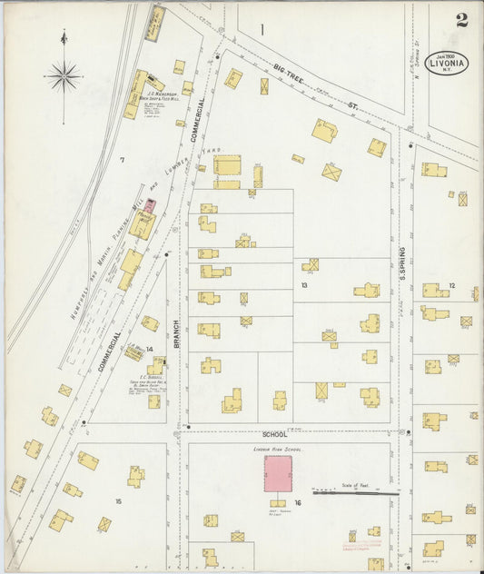 Sanborn Fire Insurance Map from Livonia, Livingston County, New York (1900), Sheet #0002 - Historic Sanborn Fire Insurance Map Print, vintage old map wall art, antique decor, genealogy gift, New York New York map