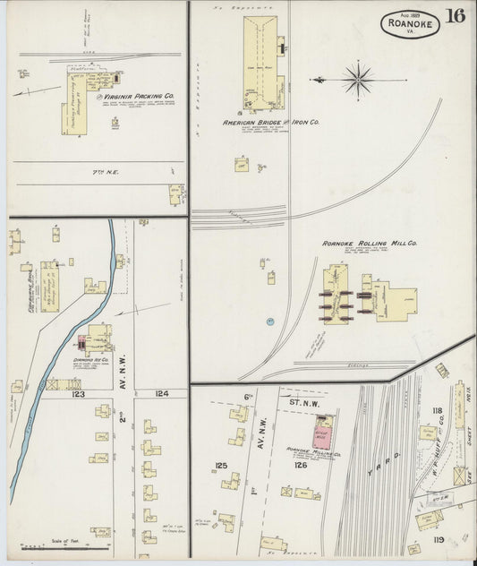 Sanborn Fire Insurance Map from Roanoke, Independent Cities, Virginia (1889), Sheet #0016 - Historic Sanborn Fire Insurance Map Print, vintage old map wall art, antique decor, genealogy gift, Virginia Virginia map