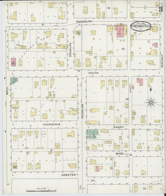 Sanborn Fire Insurance Map from Pinckneyville, Perry County, Illinois (1894), Sheet #0003 - Historic Sanborn Fire Insurance Map Print, vintage old map wall art, antique decor, genealogy gift, Illinois Illinois map