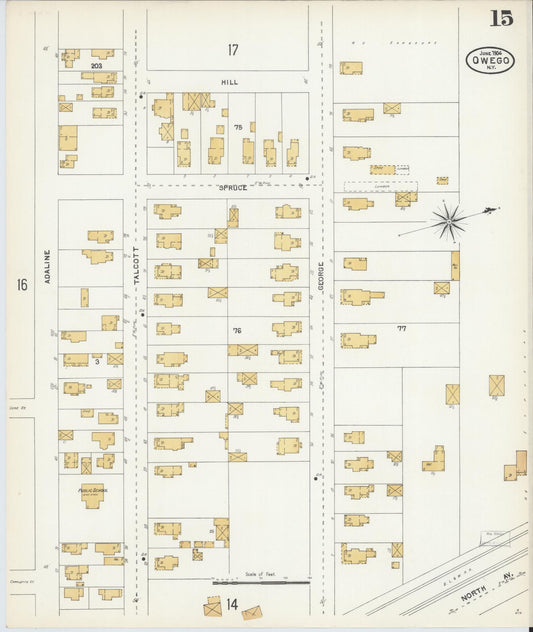 Sanborn Fire Insurance Map from Owego, Tioga County, New York (1904), Sheet #0015 - Historic Sanborn Fire Insurance Map Print, vintage old map wall art, antique decor, genealogy gift, New York New York map