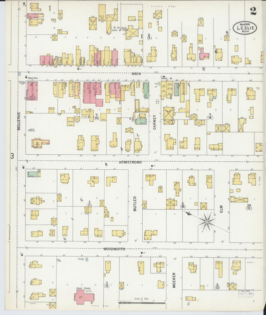Sanborn Fire Insurance Map from Leslie, Ingham County, Michigan (1900), Sheet #0002 - Historic Sanborn Fire Insurance Map Print, vintage old map wall art, antique decor, genealogy gift, Michigan Michigan map