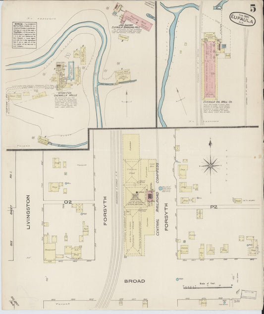 Sanborn Fire Insurance Map from Eufaula, Barbour County, Alabama (1885), Sheet #0005 - Historic Sanborn Fire Insurance Map Print, vintage old map wall art, antique decor, genealogy gift, Alabama Alabama map