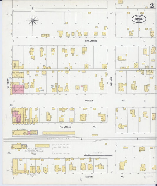 Sanborn Fire Insurance Map from Sumner, Lawrence County, Illinois (1899), Sheet #0002 - Historic Sanborn Fire Insurance Map Print, vintage old map wall art, antique decor, genealogy gift, Illinois Illinois map