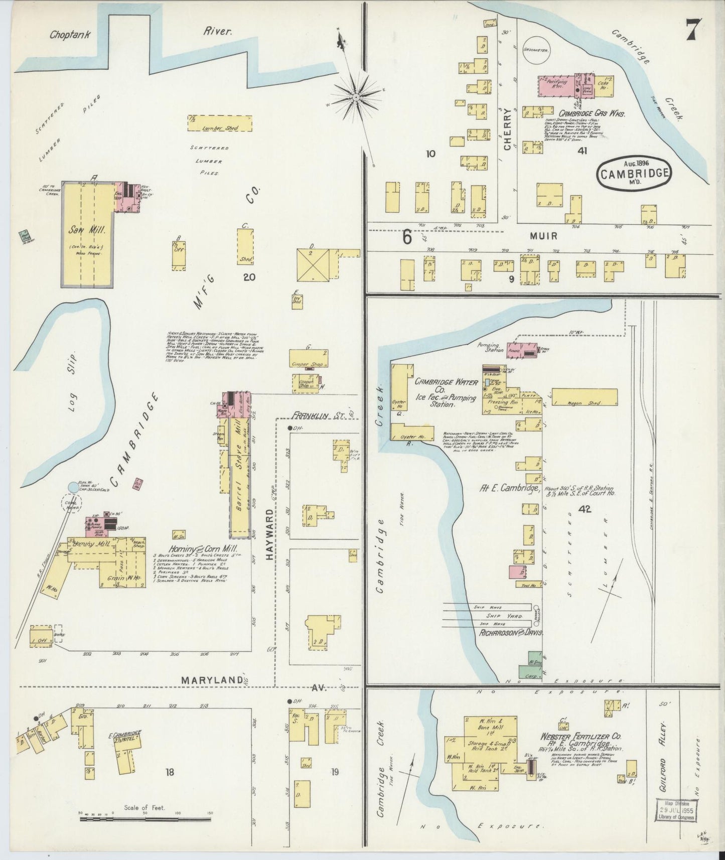 Dorchester, Maryland - 1896 - Sanborn Fire Insurance Map, Sheet #0007 - Historic Sanborn Fire Insurance Map Print, Dorchester Maryland 1896 0007 vintage old map wall art