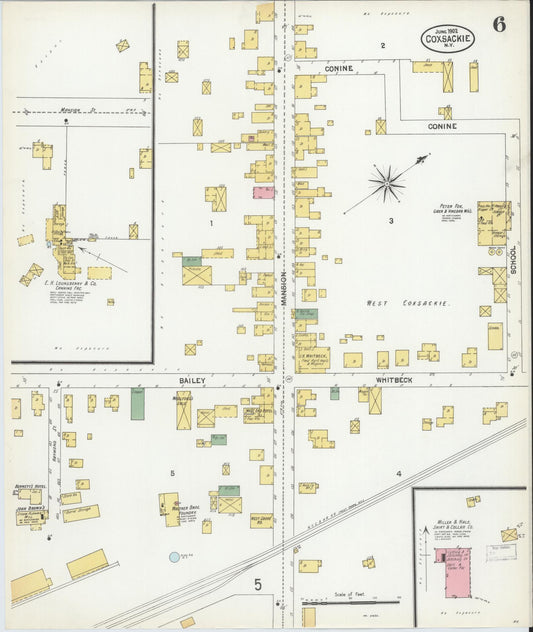 Sanborn Fire Insurance Map from Coxsackie, Greene County, New York (1902), Sheet #0006 - Historic Sanborn Fire Insurance Map Print, vintage old map wall art, antique decor, genealogy gift, New York New York map