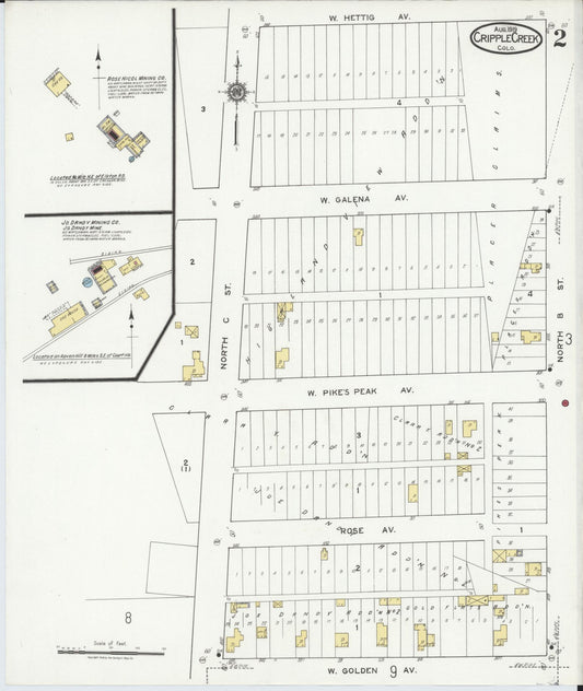 Sanborn Fire Insurance Map from Cripple Creek, Teller County, Colorado (1919), Sheet #0002 - Historic Sanborn Fire Insurance Map Print, vintage old map wall art, antique decor, genealogy gift, Colorado Colorado map