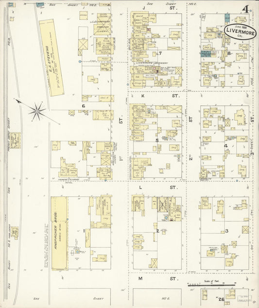Sanborn Fire Insurance Map from Livermore, Alameda County, California (1888), Sheet #0004 - Historic Sanborn Fire Insurance Map Print, vintage old map wall art, antique decor, genealogy gift, California California map