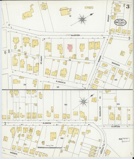 Sanborn Fire Insurance Map from Natchez, Adams County, Mississippi (1904), Sheet #0003 - Historic Sanborn Fire Insurance Map Print, vintage old map wall art, antique decor, genealogy gift, Mississippi Mississippi map