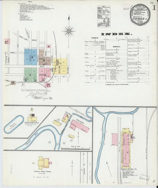 Sanborn Fire Insurance Map from Eufaula, Barbour County, Alabama (1892), Sheet #0001 - Historic Sanborn Fire Insurance Map Print, vintage old map wall art, antique decor, genealogy gift, Alabama Alabama map