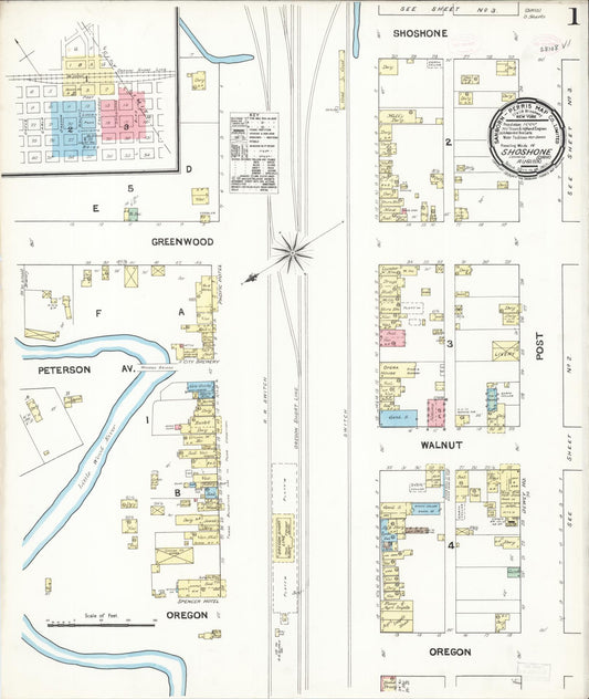 Sanborn Fire Insurance Map from Shoshone, Lincoln County, Idaho. (1890) – Historic Sanborn Fire Insurance Map Print