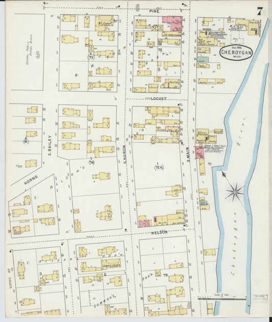 Sanborn Fire Insurance Map from Cheboygan, Cheboygan County, Michigan (1895), Sheet #0007 - Historic Sanborn Fire Insurance Map Print, vintage old map wall art, antique decor, genealogy gift, Michigan Michigan map