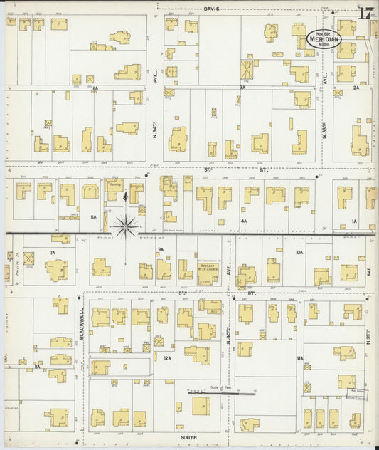 Sanborn Fire Insurance Map from Meridian, Lauderdale County, Mississippi (1902), Sheet #0017 - Historic Sanborn Fire Insurance Map Print, vintage old map wall art, antique decor, genealogy gift, Mississippi Mississippi map