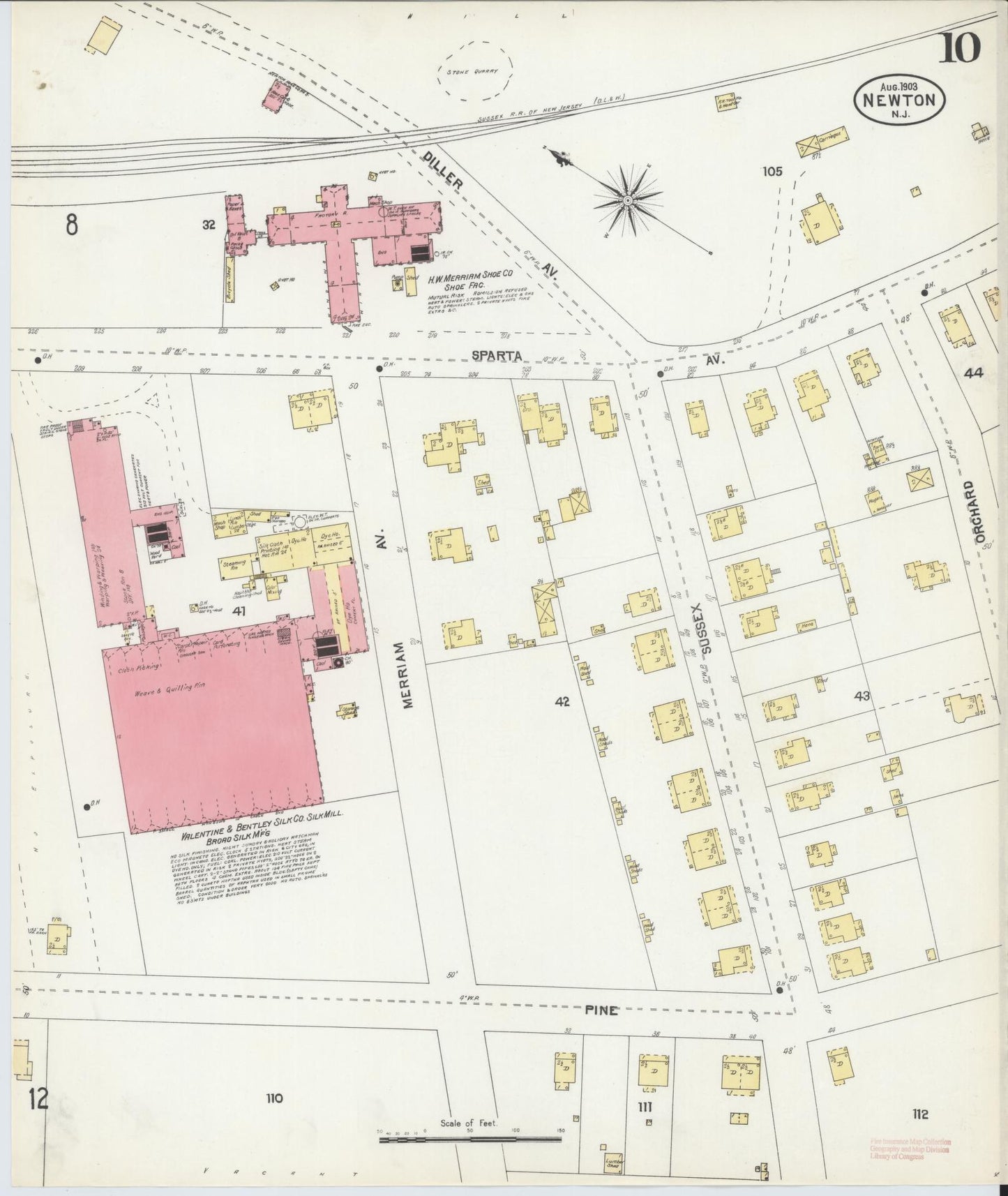 Sanborn Fire Insurance Map from Newton, Sussex County, New Jersey (1903), Sheet #0010 - Historic Sanborn Fire Insurance Map Print, vintage old map wall art, antique decor, genealogy gift, New Jersey New Jersey map