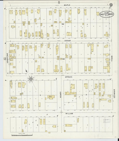 Sanborn Fire Insurance Map from Sault Sainte Marie, Chippewa County, Michigan (1897), Sheet #0009 - Historic Sanborn Fire Insurance Map Print, vintage old map wall art, antique decor, genealogy gift, Michigan Michigan map