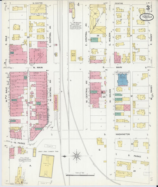 Sanborn Fire Insurance Map from Tuscola, Douglas County, Illinois (1907), Sheet #0003 - Historic Sanborn Fire Insurance Map Print, vintage old map wall art, antique decor, genealogy gift, Illinois Illinois map
