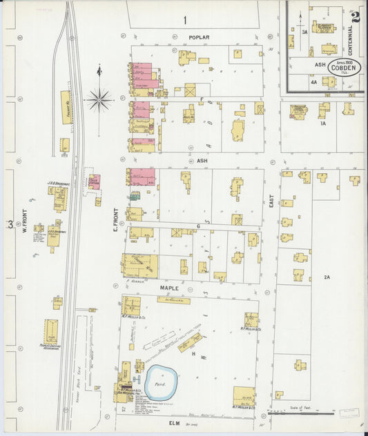 Sanborn Fire Insurance Map from Cobden, Union County, Illinois (1900), Sheet #0002 - Historic Sanborn Fire Insurance Map Print, vintage old map wall art, antique decor, genealogy gift, Illinois Illinois map
