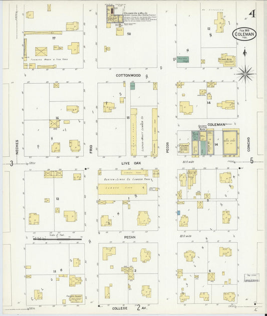 Sanborn Fire Insurance Map from Coleman, Coleman County, Texas (1909), Sheet #0004 - Historic Sanborn Fire Insurance Map Print, vintage old map wall art, antique decor, genealogy gift, Texas Texas map