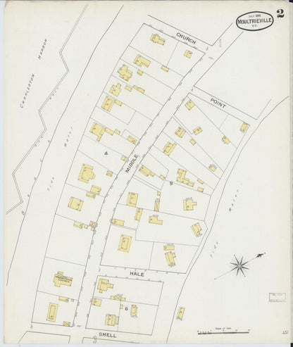 Sanborn Fire Insurance Map from Moultrieville, Charleston County, South Carolina (1893), Sheet #0002 - Complete Map Set gallery image, historic Sanborn map, vintage wall art, South Carolina South Carolina