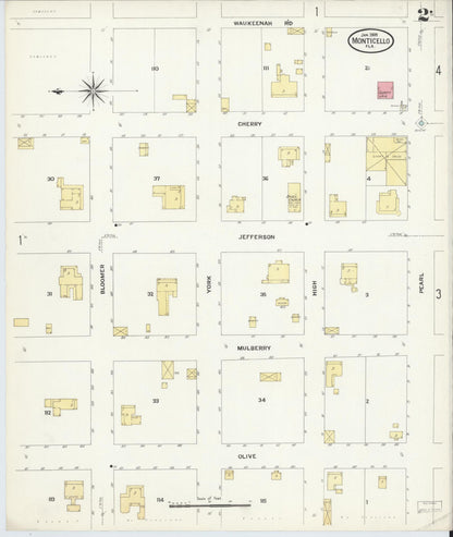 Sanborn Fire Insurance Map from Monticello, Jefferson County, Florida (1909), Sheet #0002 - Complete Map Set gallery image, historic Sanborn map, vintage wall art, Florida Florida