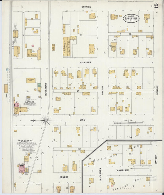 Sanborn Fire Insurance Map from Tower Hill, Shelby County, Illinois (1899), Sheet #0002 - Historic Sanborn Fire Insurance Map Print, vintage old map wall art, antique decor, genealogy gift, Illinois Illinois map