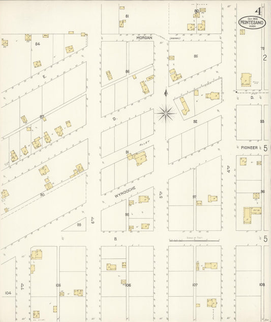 Sanborn Fire Insurance Map from Montesano, Grays Harbor County, Washington (1903), Sheet #0004 - Historic Sanborn Fire Insurance Map Print, vintage old map wall art, antique decor, genealogy gift, Washington Washington map