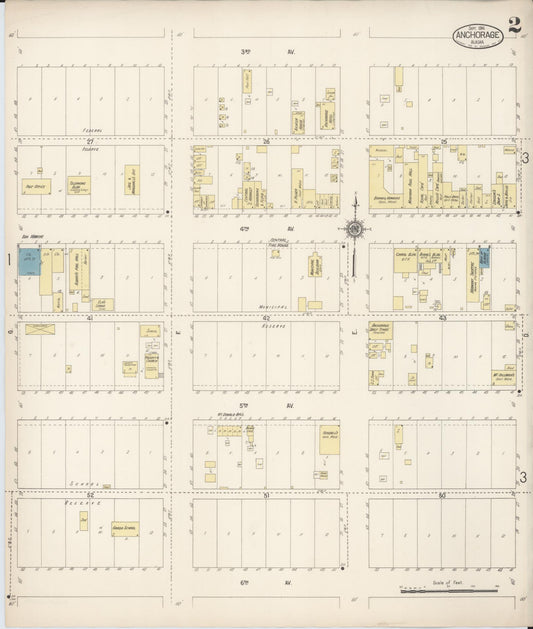 Sanborn Fire Insurance Map from Anchorage, Anchorage Census Division, Alaska (1916), Sheet #0002 - Historic Sanborn Fire Insurance Map Print, vintage old map wall art, antique decor, genealogy gift, Alaska Alaska map