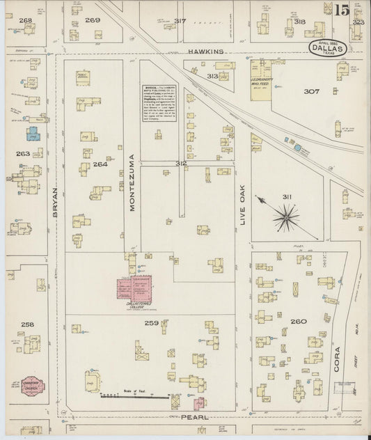 Sanborn Fire Insurance Map from Dallas, Dallas County, Texas (1885), Sheet #0015 - Historic Sanborn Fire Insurance Map Print, vintage old map wall art, antique decor, genealogy gift, Texas Texas map