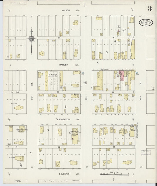 Sanborn Fire Insurance Map from Minto, Walsh County, North Dakota (1914), Sheet #0003 - Historic Sanborn Fire Insurance Map Print, vintage old map wall art, antique decor, genealogy gift, North Dakota North Dakota map