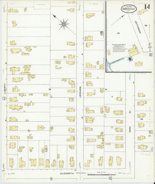 Sanborn Fire Insurance Map from Dansville, Livingston County, New York (1909), Sheet #0014 - Historic Sanborn Fire Insurance Map Print, vintage old map wall art, antique decor, genealogy gift, New York New York map