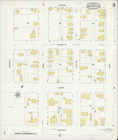 Sanborn Fire Insurance Map from Apalachicola, Franklin County, Florida (1909), Sheet #0003 - Historic Sanborn Fire Insurance Map Print, vintage old map wall art, antique decor, genealogy gift, Florida Florida map