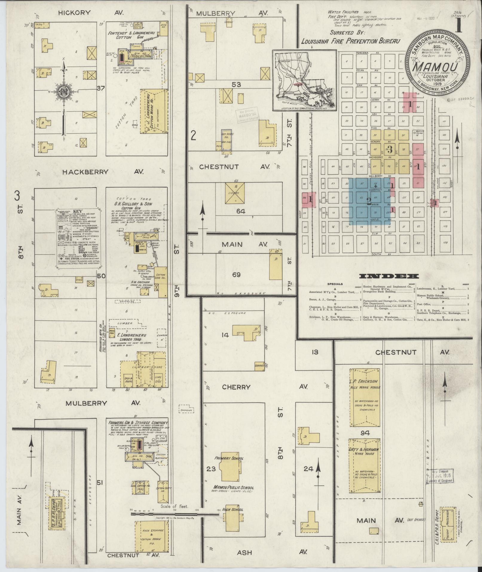 Sanborn Fire Insurance Map from Mamou, Evangeline Parish, Louisiana (1919), Sheet #0001 - Historic Sanborn Fire Insurance Map Print, vintage old map wall art, antique decor, genealogy gift, Louisiana Louisiana map