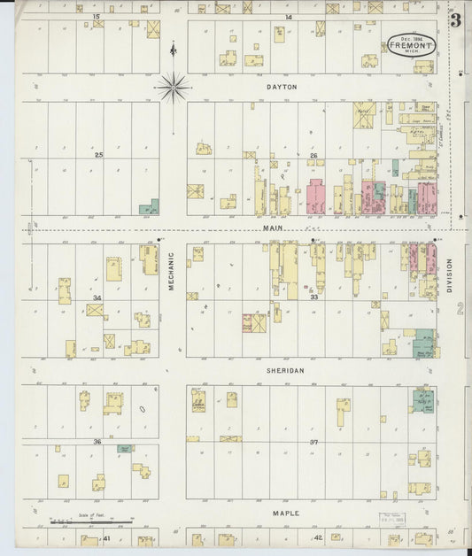 Sanborn Fire Insurance Map from Fremont, Newaygo County, Michigan (1894), Sheet #0003 - Historic Sanborn Fire Insurance Map Print, vintage old map wall art, antique decor, genealogy gift, Michigan Michigan map