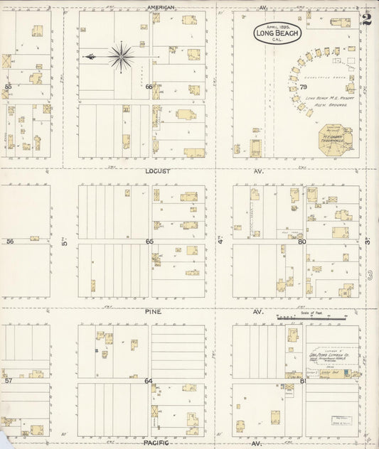 Sanborn Fire Insurance Map from Long Beach, Los Angeles County, California (1895), Sheet #0002 - Historic Sanborn Fire Insurance Map Print, vintage old map wall art, antique decor, genealogy gift, California California map