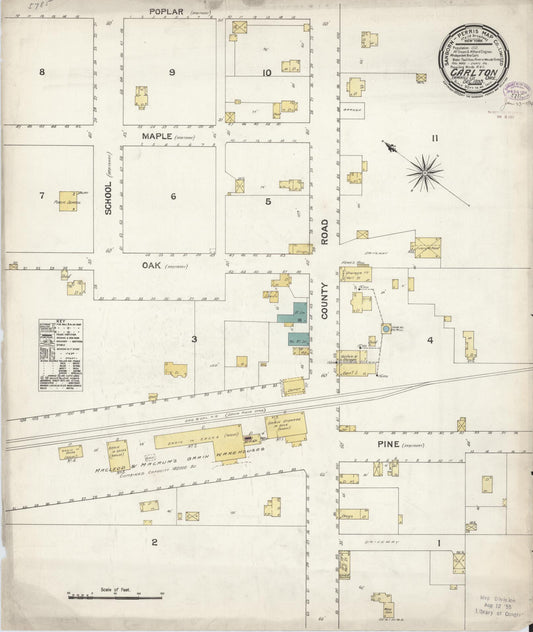 Sanborn Fire Insurance Map from Carlton, Yamhill County, Oregon (1893), Sheet #0001 - Historic Sanborn Fire Insurance Map Print, vintage old map wall art, antique decor, genealogy gift, Oregon Oregon map