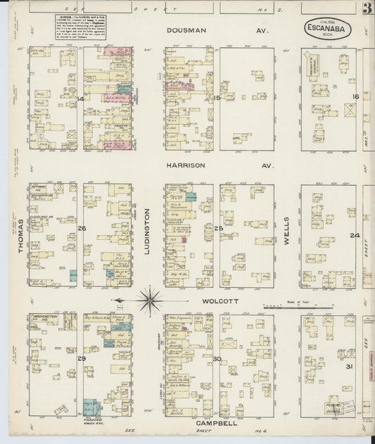 Sanborn Fire Insurance Map from Escanaba, Delta County, Michigan (1884), Sheet #0003 - Historic Sanborn Fire Insurance Map Print, vintage old map wall art, antique decor, genealogy gift, Michigan Michigan map
