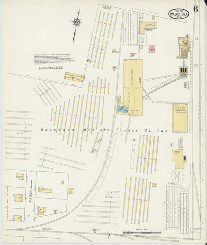 Sanborn Fire Insurance Map from Wauchula, Hardee County, Florida (1914), Sheet #0006 - Historic Sanborn Fire Insurance Map Print, vintage old map wall art, antique decor, genealogy gift, Florida Florida map
