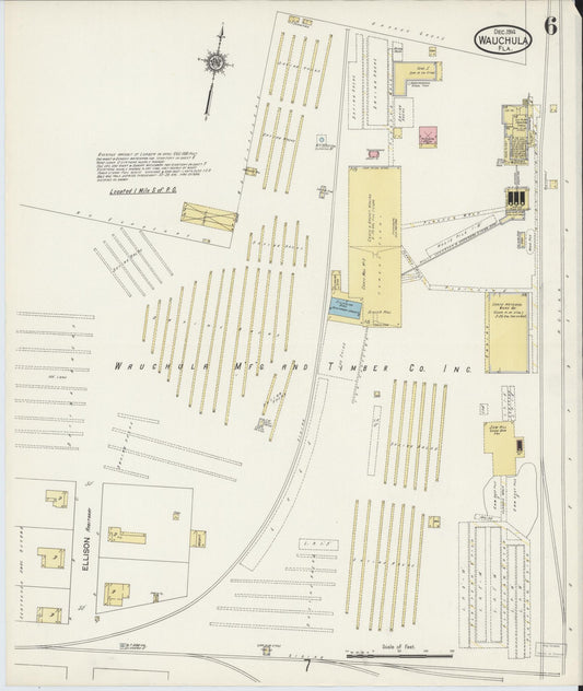 Sanborn Fire Insurance Map from Wauchula, Hardee County, Florida (1914), Sheet #0006 - Historic Sanborn Fire Insurance Map Print, vintage old map wall art, antique decor, genealogy gift, Florida Florida map