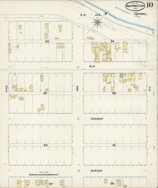 Sanborn Fire Insurance Map from New Whatcom, Whatcom County, Washington (1891), Sheet #0010 - Historic Sanborn Fire Insurance Map Print, vintage old map wall art, antique decor, genealogy gift, Washington Washington map