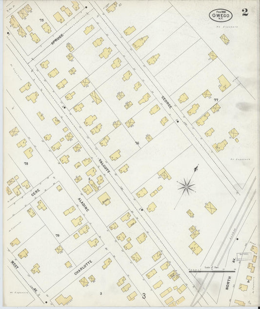 Sanborn Fire Insurance Map from Owego, Tioga County, New York (1898), Sheet #0002 - Historic Sanborn Fire Insurance Map Print, vintage old map wall art, antique decor, genealogy gift, New York New York map