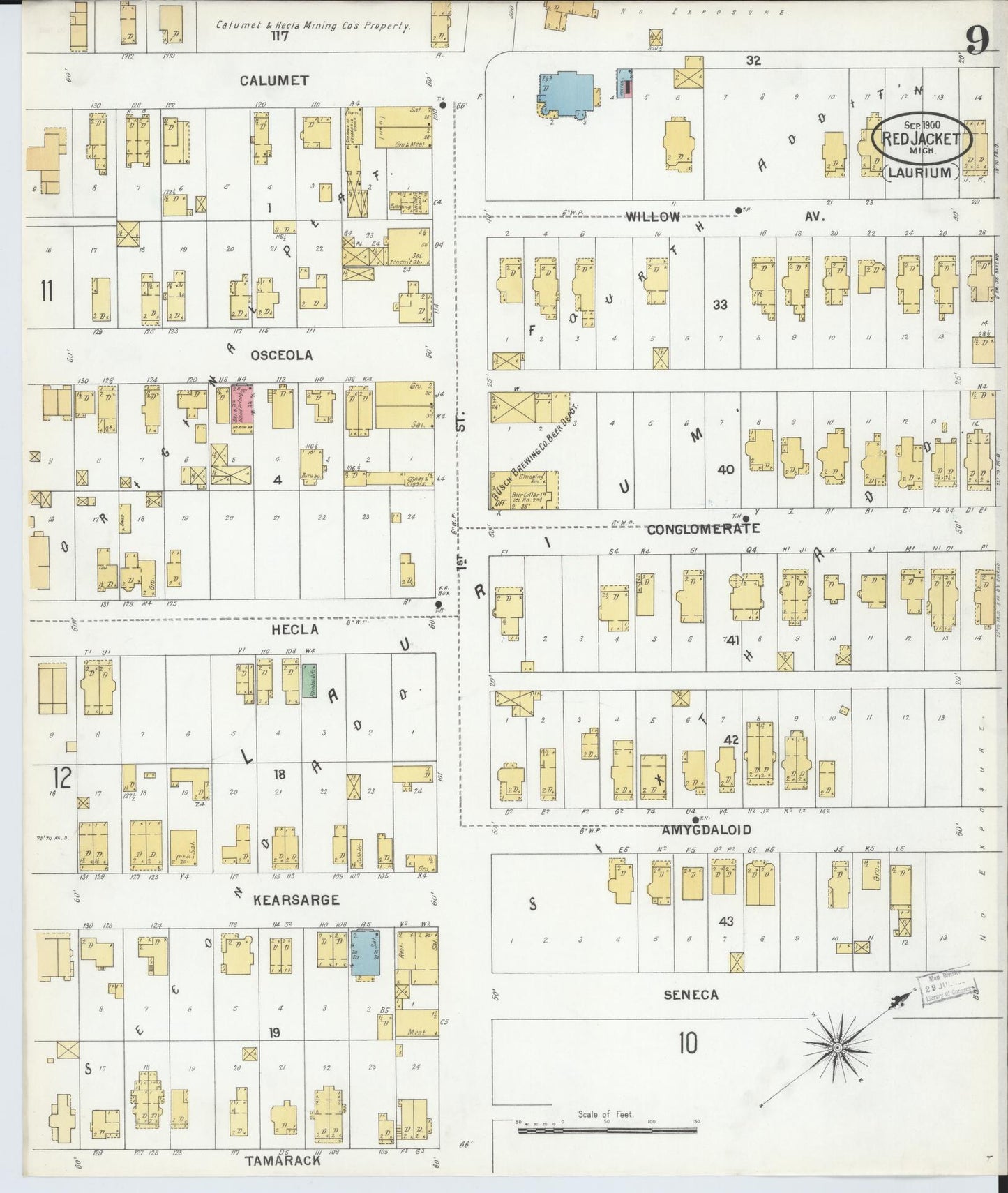 Sanborn Fire Insurance Map from Red Jacket, Houghton County, Michigan (1900), Sheet #0009 - Complete Map Set gallery image, historic Sanborn map, vintage wall art, Michigan Michigan
