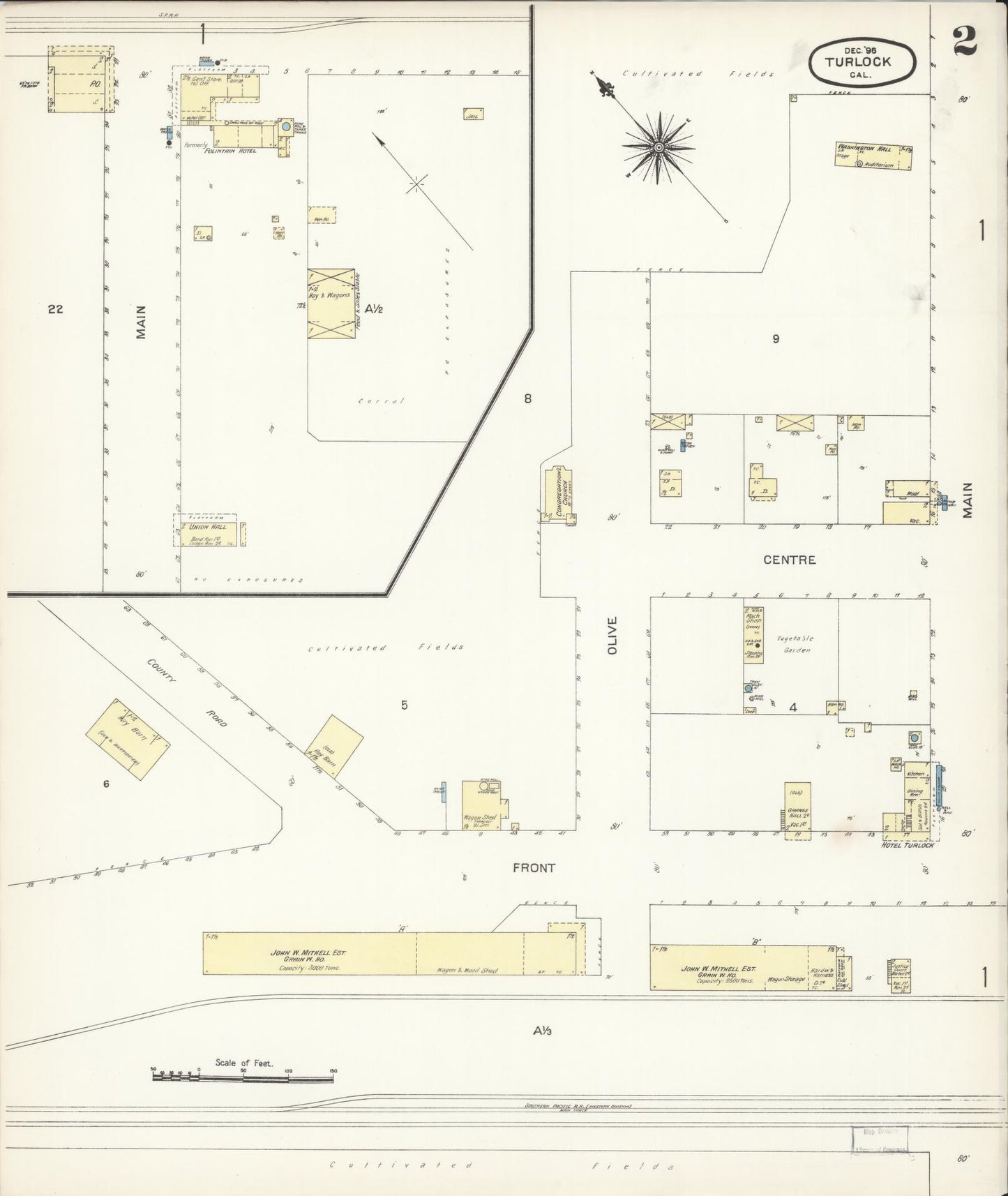 Sanborn Fire Insurance Map from Turlock, Stanislaus County, California (1896), Sheet #0002 - Complete Map Set gallery image, historic Sanborn map, vintage wall art, California California