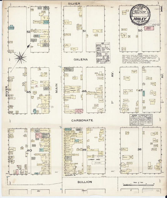 Sanborn Fire Insurance Map from Hailey, Blaine County, Idaho (1885), Sheet #0001 - Historic Sanborn Fire Insurance Map Print, vintage old map wall art, antique decor, genealogy gift, Idaho Idaho map