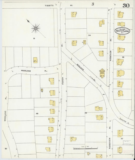 Sanborn Fire Insurance Map from White Plains, Westchester County, New York (1905), Sheet #0030 - Historic Sanborn Fire Insurance Map Print, vintage old map wall art, antique decor, genealogy gift, New York New York map