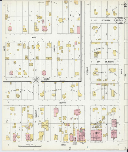 Sanborn Fire Insurance Map from Mount Olive, Macoupin County, Illinois (1899), Sheet #0002 - Complete Map Set gallery image, historic Sanborn map, vintage wall art, Illinois Illinois