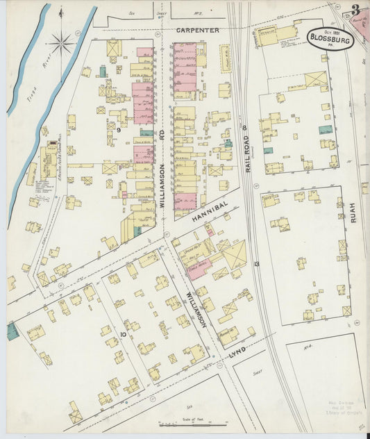 Sanborn Fire Insurance Map from Blossburg, Tioga County, Pennsylvania (1891), Sheet #0003 - Historic Sanborn Fire Insurance Map Print, vintage old map wall art, antique decor, genealogy gift, Pennsylvania Pennsylvania map